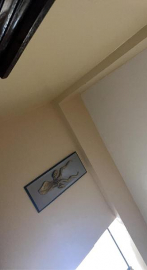 Spacious & furnished 1bedroom in mirema/roysambu